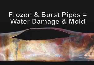 frozen water lines and mold